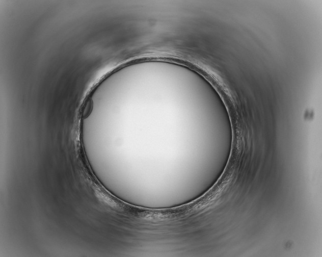 X0000099231366200805081547