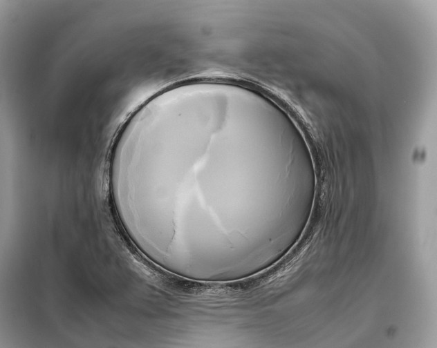 X0000099231367200805081547