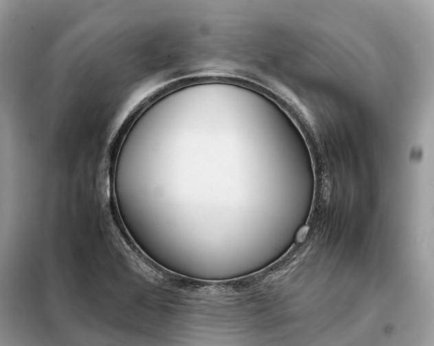 X0000099231368200805081547