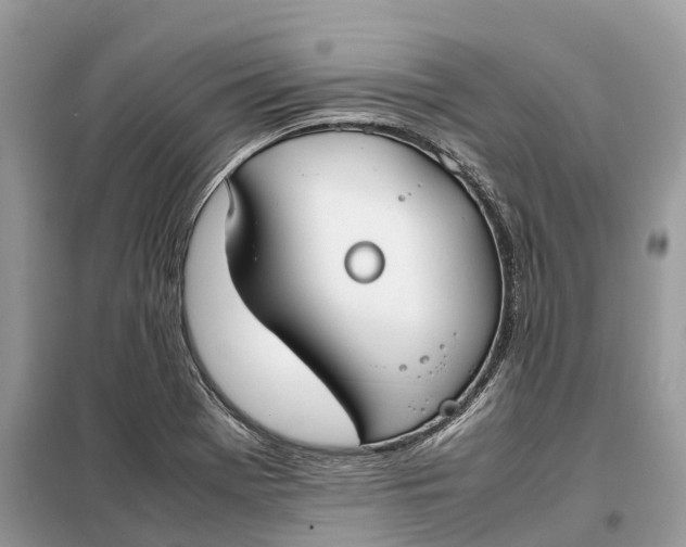 X0000099231369200805081547