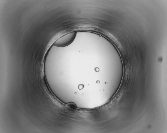 X0000099231370200805081547