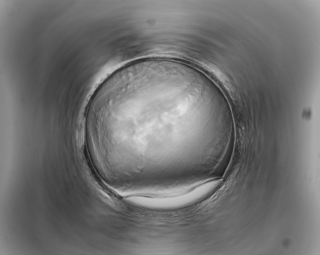 X0000099231371200805081547