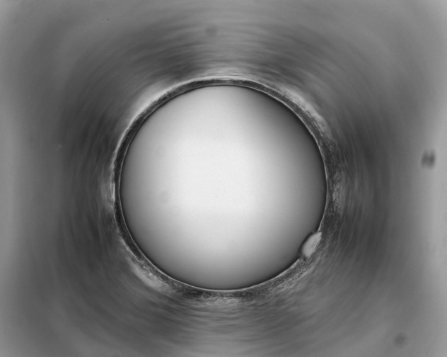 X0000099231372200805081547