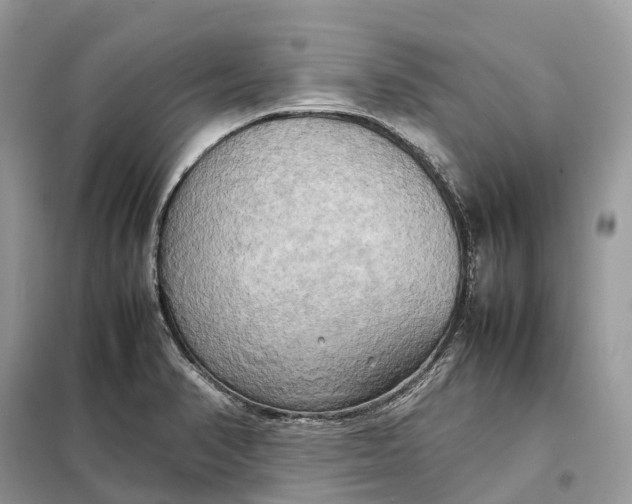 X0000099231374200805081547