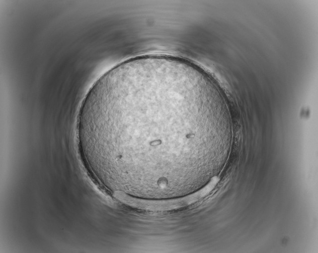 X0000099231375200805081547