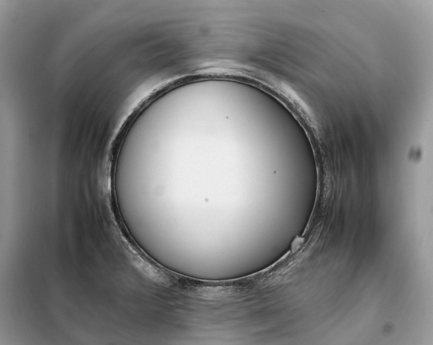 X0000099231376200805081547