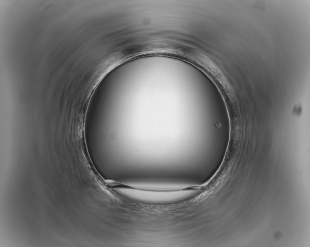 X0000099231377200805081547