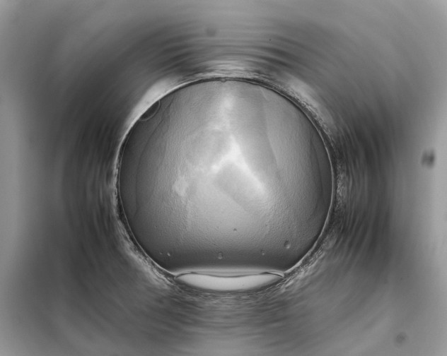 X0000099231378200805081547