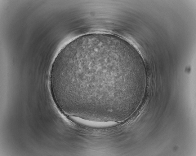 X0000099231379200805081547