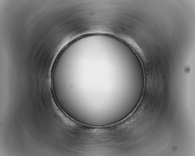 X0000099231380200805081547