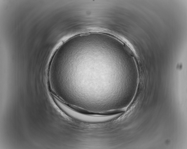 X0000099231381200805081547