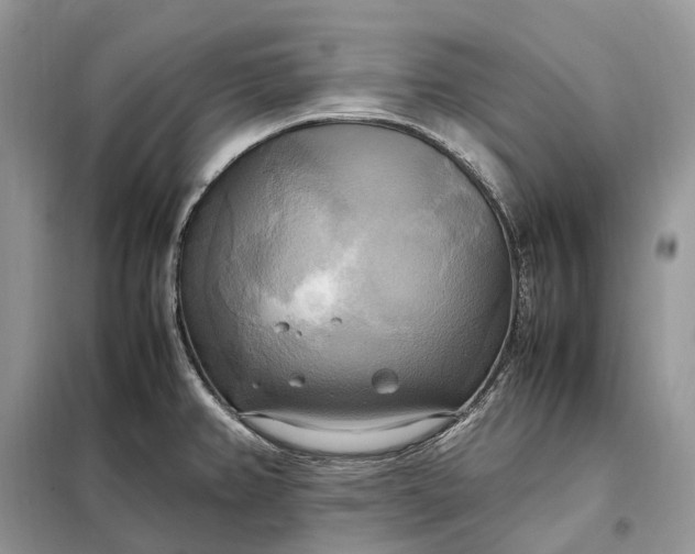 X0000099231382200805081547