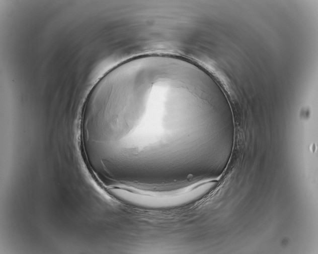 X0000099231383200805081547