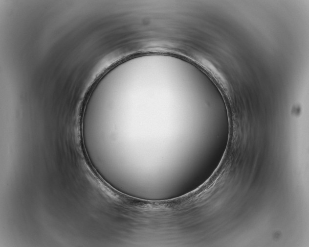 X0000099231384200805081547