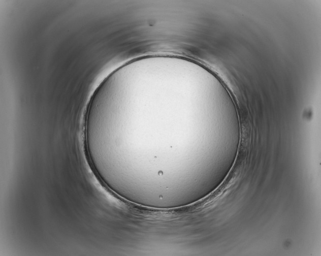 X0000099231387200805081547