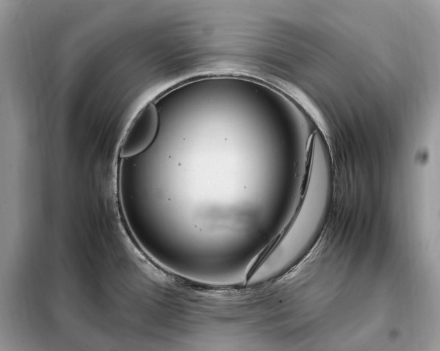 X0000099231388200805081547