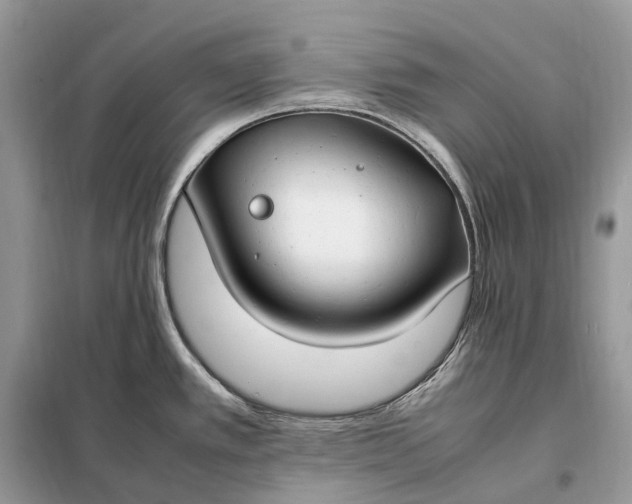 X0000099231389200805081547