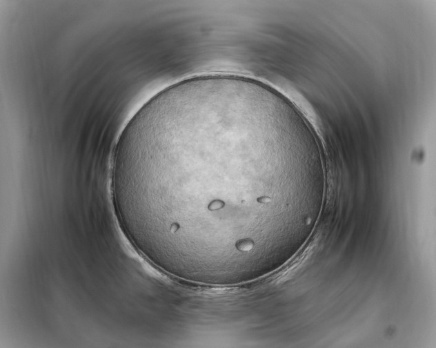 X0000099231390200805081547