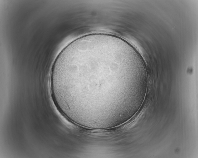 X0000099231391200805081547