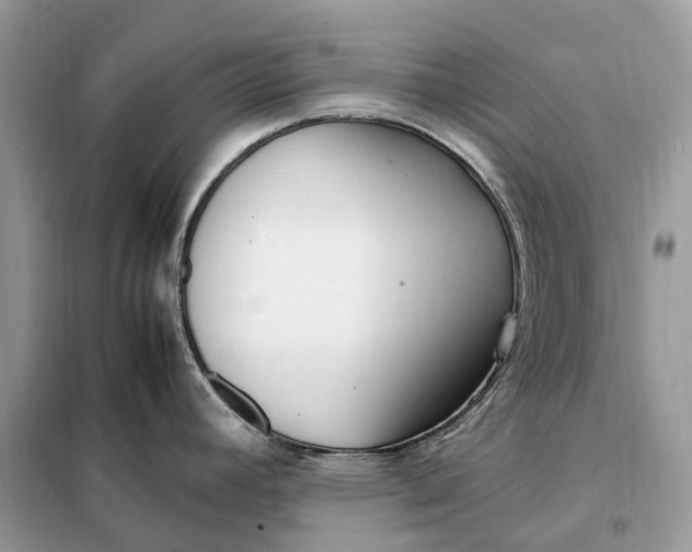 X0000099231392200805081547