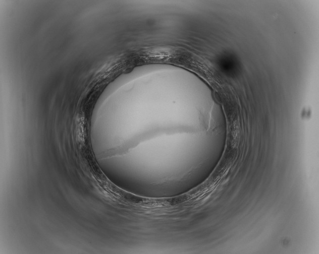 X0000099231394200805081546