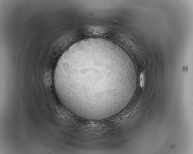 X0000099231395200805081546