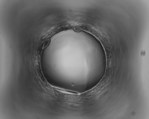 X0000099231397200805081546