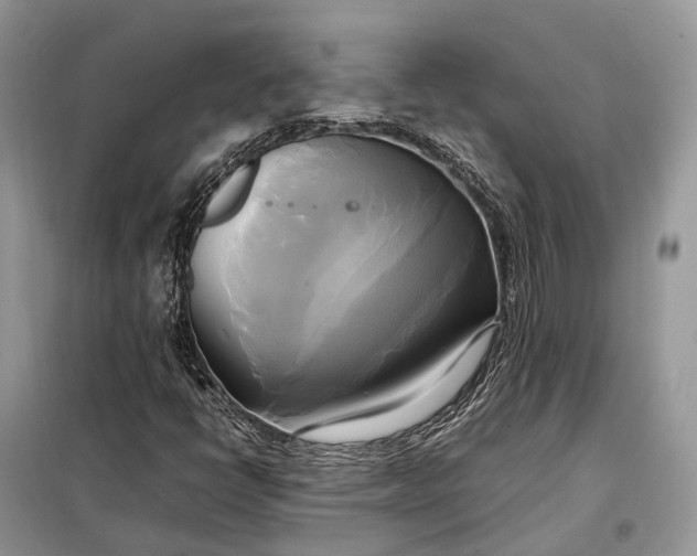 X0000099231398200805081546