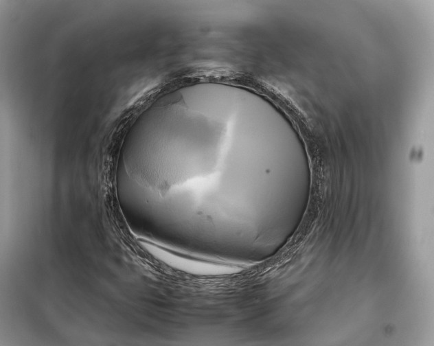 X0000099231399200805081546