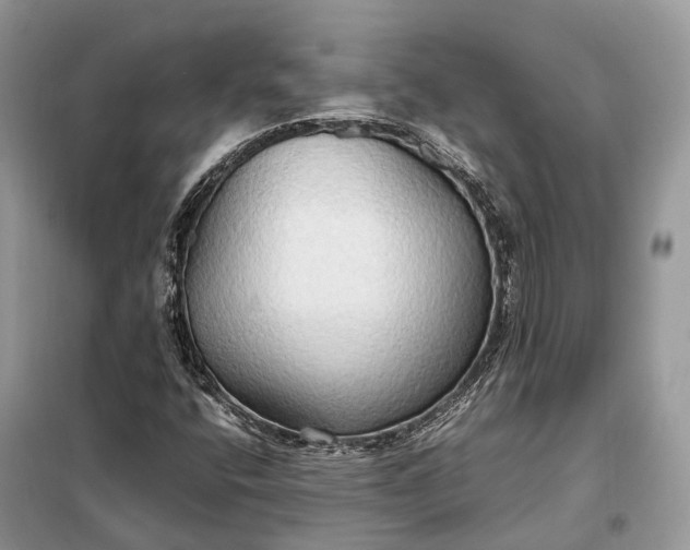 X0000099231400200805081546