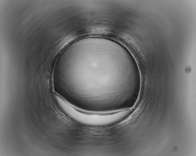 X0000099231401200805081546