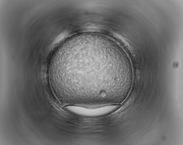 X0000099231403200805081546