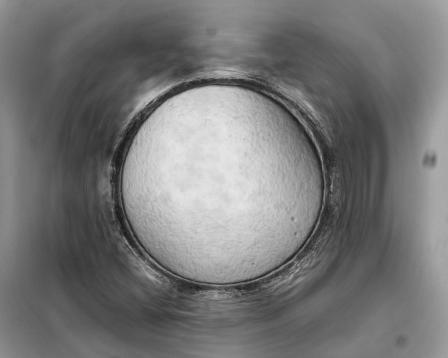 X0000099231404200805081546