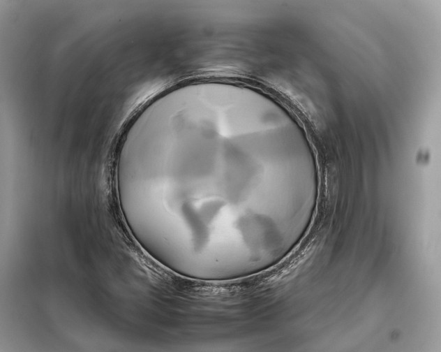 X0000099231405200805081546