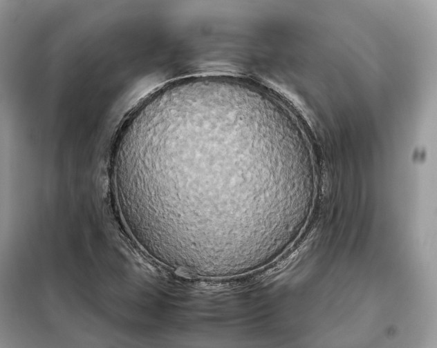 X0000099231407200805081546