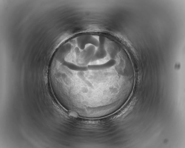 X0000099231409200805081546