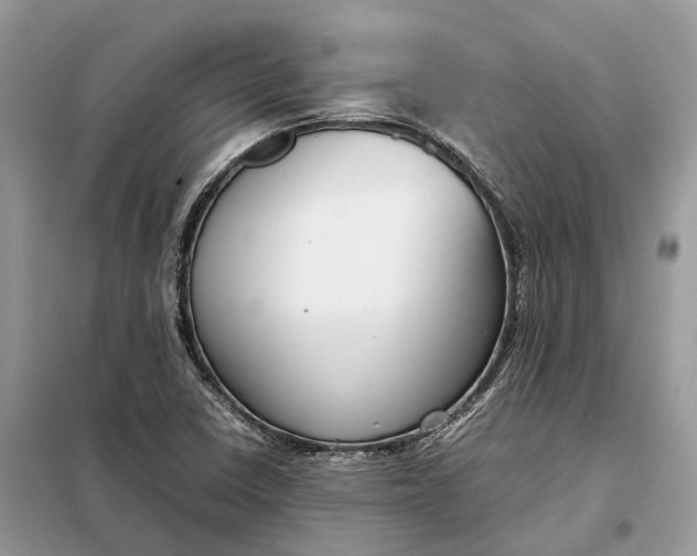 X0000099231410200805081546