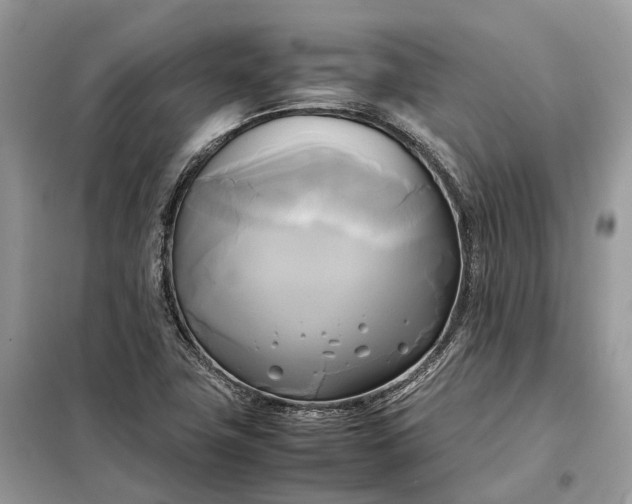 X0000099231411200805081546