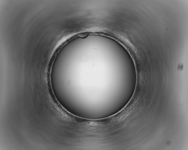 X0000099231412200805081546