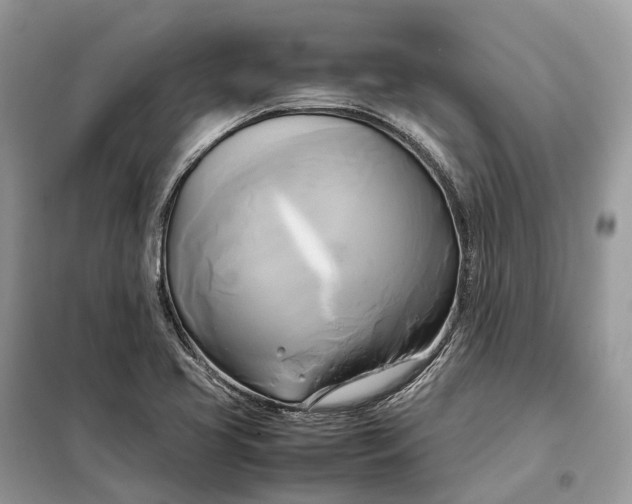 X0000099231413200805081546