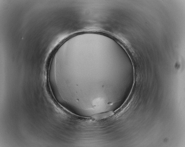 X0000099231414200805081546