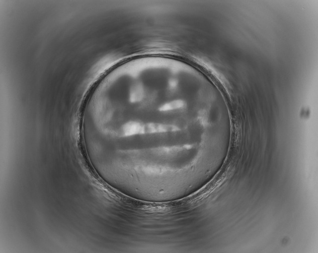 X0000099231415200805081546