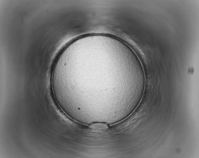 X0000099231416200805081546