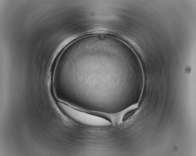 X0000099231418200805081546