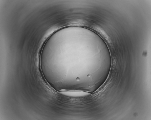 X0000099231419200805081546