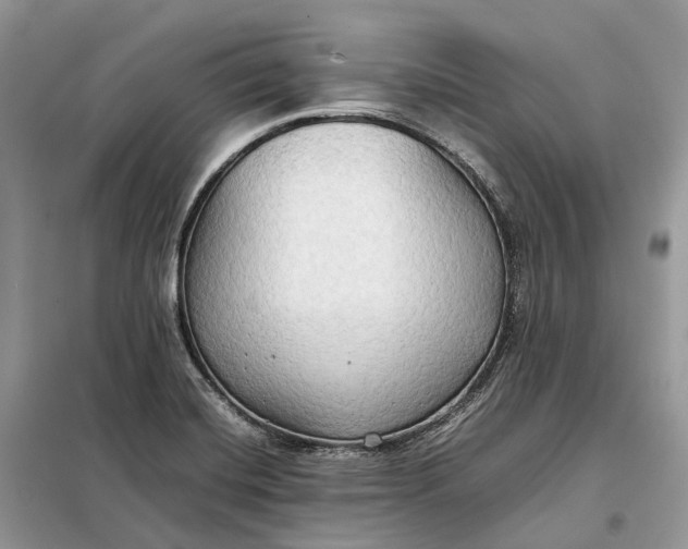 X0000099231420200805081546