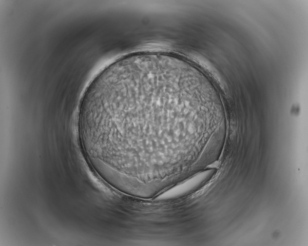 X0000099231421200805081546