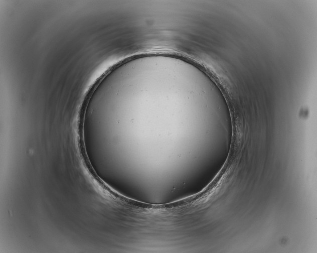 X0000099231422200805081546