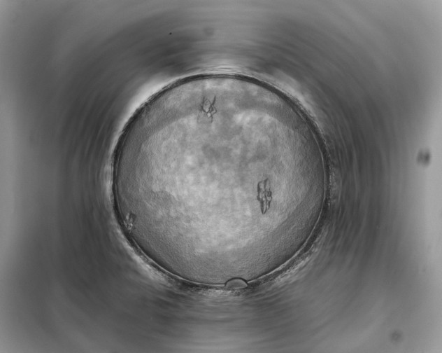 X0000099231424200805081546