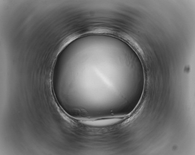 X0000099231425200805081546